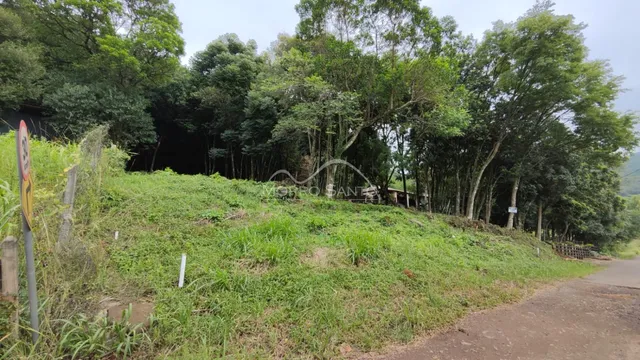 Paisagem de uma encosta gramada com vegetação densa e árvores ao fundo.