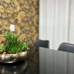 Foto em close-up de vegetação sobre uma superfície escura.