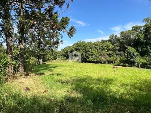 Terreno, foto 2