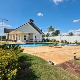 Foto de uma área externa com piscina e gramado em um imóvel.