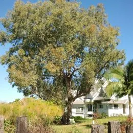 Casa com 3 dormitórios, foto 3