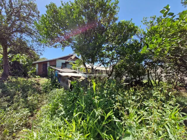 Terreno, foto 3