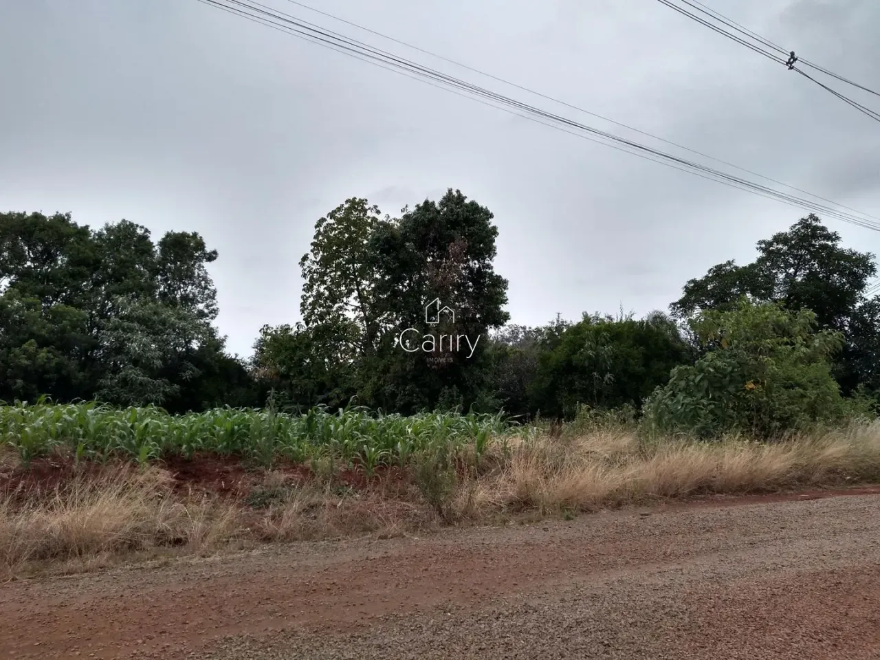 Terreno, foto 1