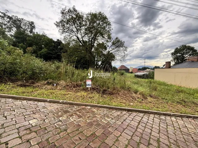 Terreno, foto 2