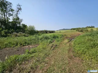 Área rural, foto 13