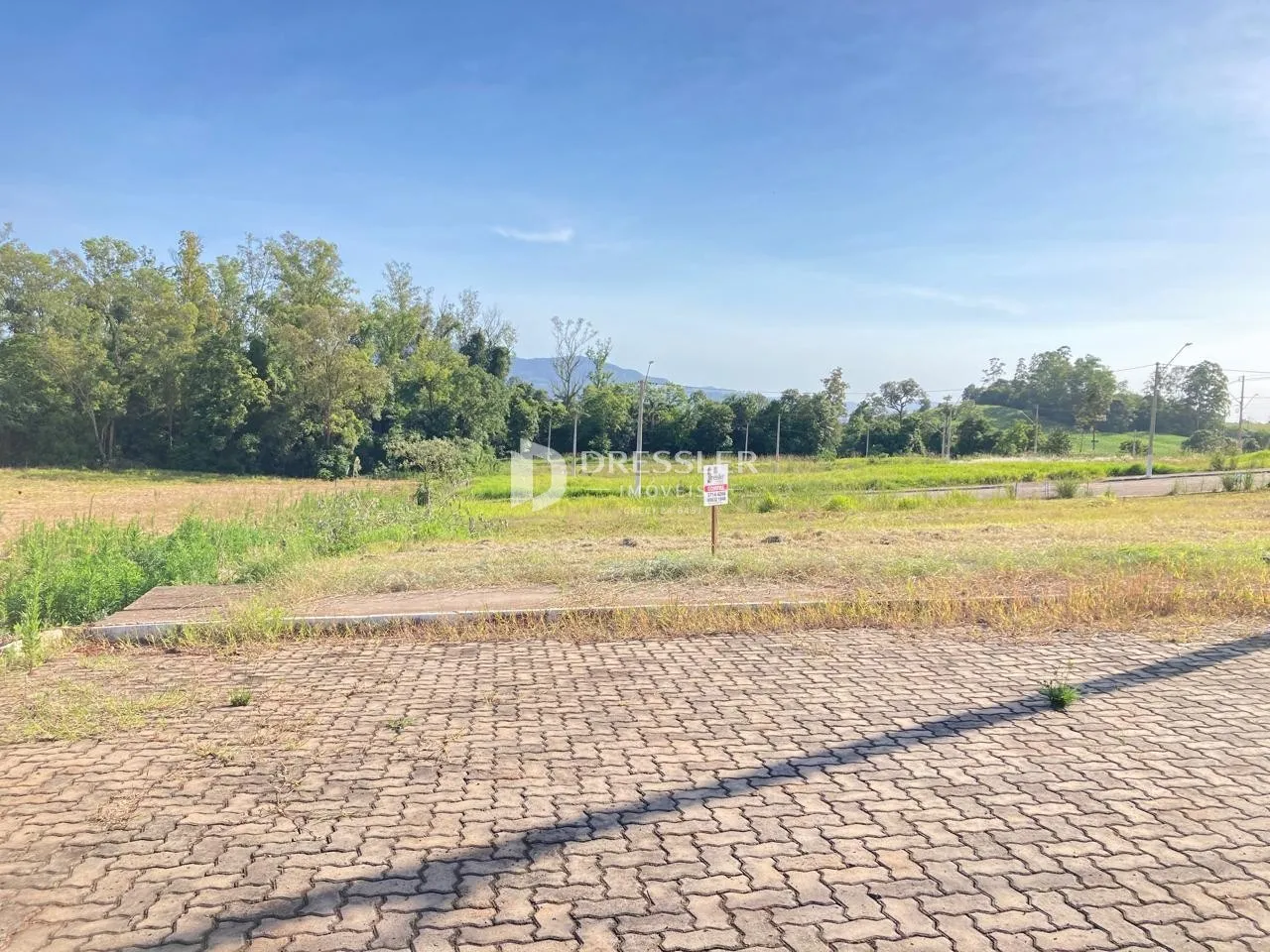 Terreno, foto 1
