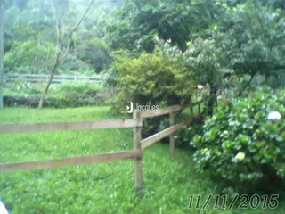 Vista externa de um jardim com cerca de madeira e vegetação.