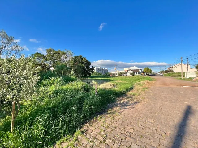 Terreno, foto 3