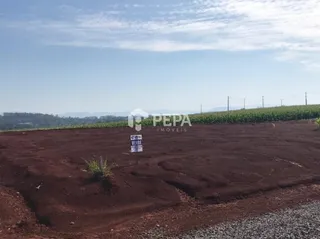 Terreno, foto 1