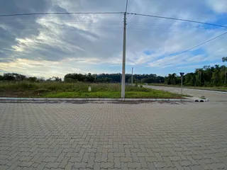 Vista externa de uma rua com vegetação e árvores ao fundo.