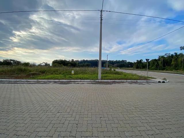 Vista externa de uma rua com vegetação e árvores ao fundo.