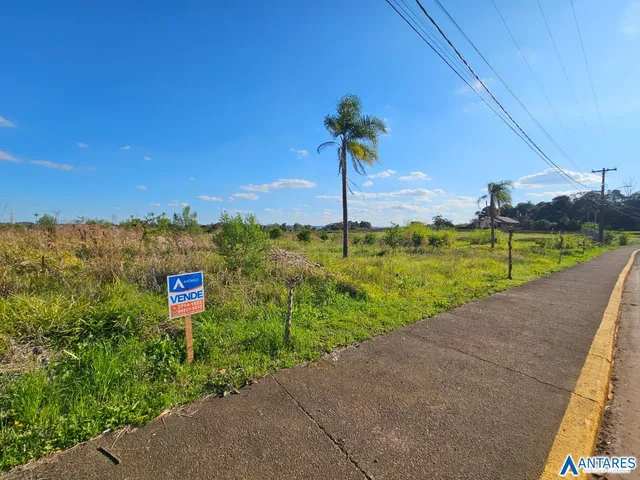 Terreno, foto 4