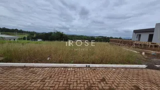 Vista externa de um terreno com vegetação alta e uma construção ao fundo.