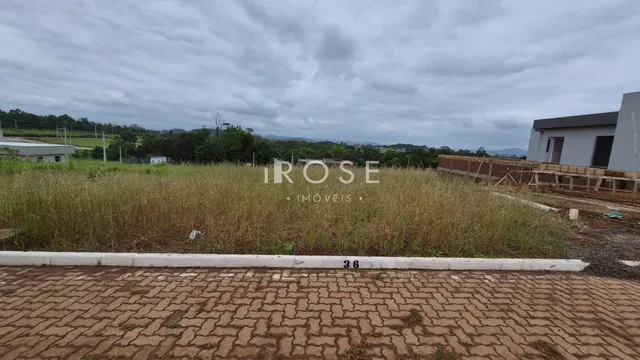 Vista externa de um terreno com vegetação alta e uma construção ao fundo.