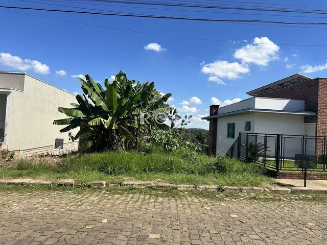 Terreno, foto 2