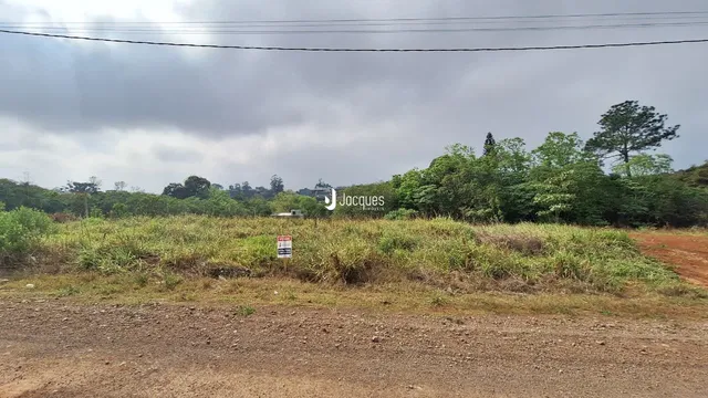 Campo de terra com vegetação alta e grama seca na área externa.