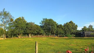Área rural com 3 dormitórios, foto 13