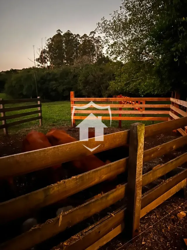 Área rural com 2 dormitórios, foto 2