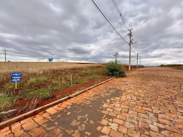 Terreno