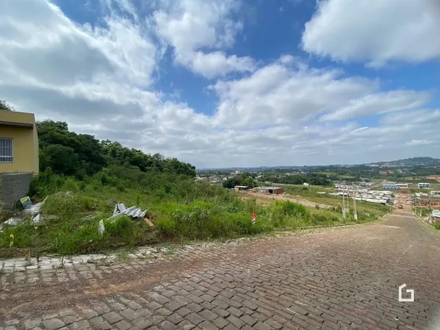 Terreno, foto 3
