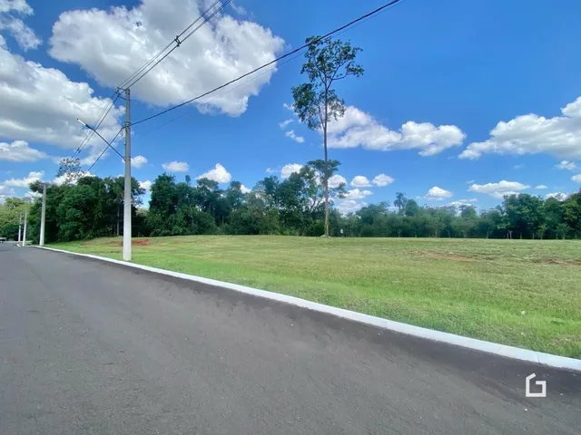 Vista de um campo gramado ao lado de uma estrada.