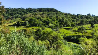 Área rural, foto 6