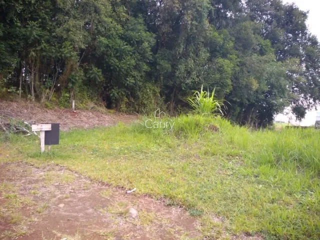 Terreno, foto 4