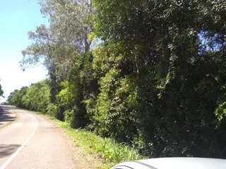 Terreno, foto 1