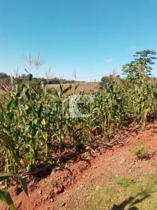 Área rural com 2 dormitórios, foto 11