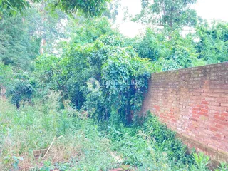 Terreno, foto 3