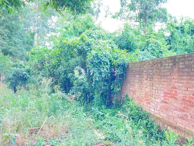 Terreno, foto 3