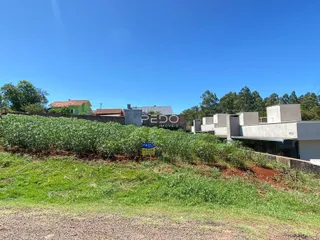 Vista externa de uma propriedade com vegetação e construções ao fundo.