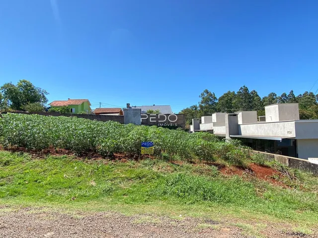 Vista externa de uma propriedade com vegetação e construções ao fundo.