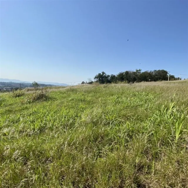 Terreno, foto 2