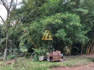 Área rural com 2 dormitórios, foto 6