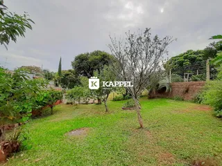 Um gramado verde com árvores e vegetação no quintal da propriedade.