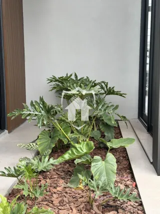 Casa com 3 dormitórios, foto 7