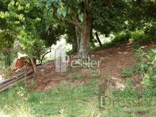 Área rural, foto 3