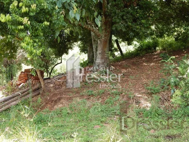 Área rural, foto 3