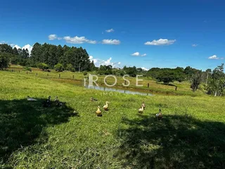 Área rural com 3 dormitórios, foto 18