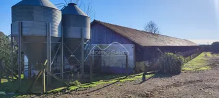 Vista externa de um galpão com dois silos metálicos em uma propriedade rural.