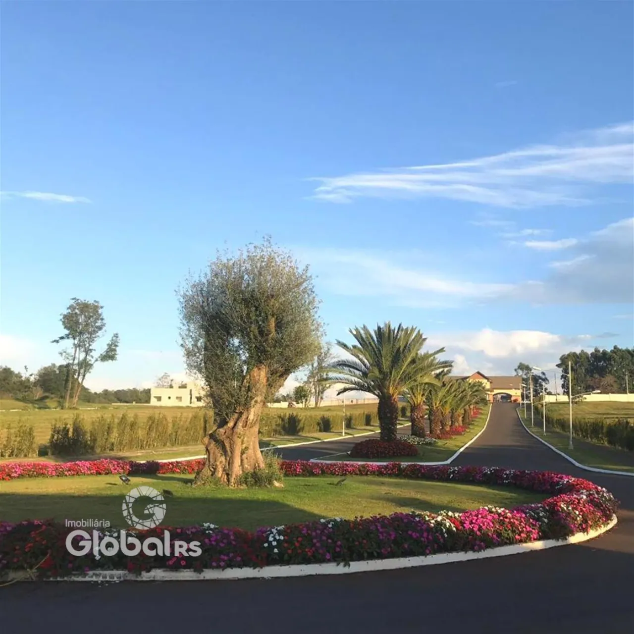 Vista da paisagem com árvores e jardim ao longo de uma estrada.