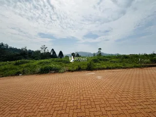 Vista da propriedade com vegetação e terreno no fundo.