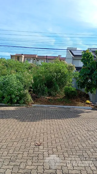 Terreno, foto 3
