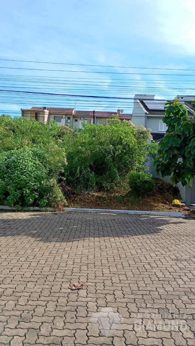 Terreno, foto 3