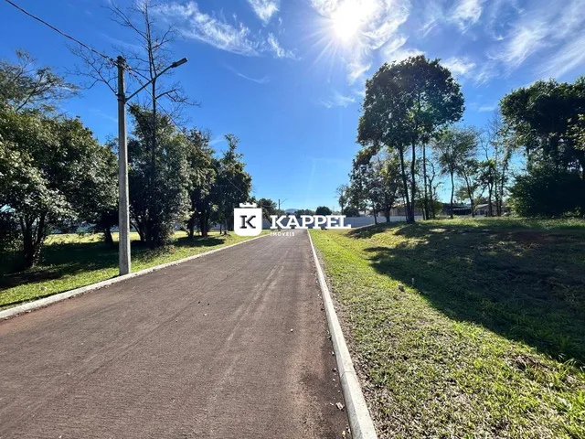 Vista de uma estrada rural com vegetação e céu azul.