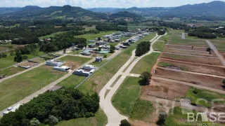 Terreno, foto 3
