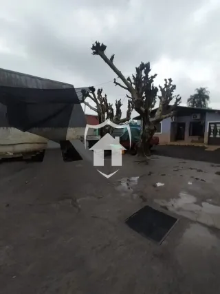 Terreno, foto 4