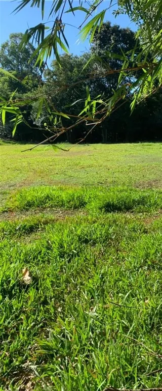 Área rural com 1 dormitório, foto 18