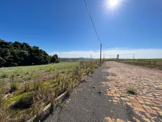 Terreno, foto 3